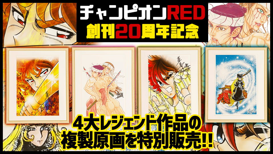 Champion Red: fotos da revista japonesa de setembro de 2023 + brindes dos  Cavaleiros do Zodíaco! - Os Cavaleiros do Zodíaco - CavZodiaco.com.br